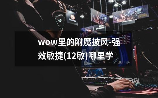 wow里的附魔披风-强效敏捷(12敏)哪里学-第1张-游戏信息-龙启网