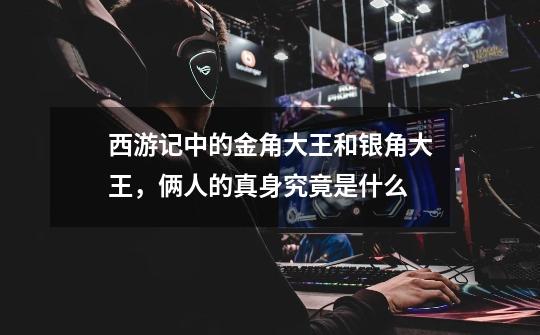 西游记中的金角大王和银角大王,俩人的真身究竟是什么-第1张-游戏信息-龙启网
