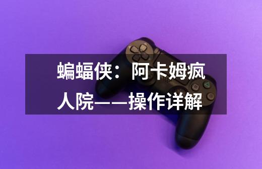 蝙蝠侠:阿卡姆疯人院——操作详解-第1张-游戏信息-龙启网