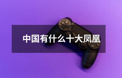 中国有什么十大凤凰-第1张-游戏信息-龙启网