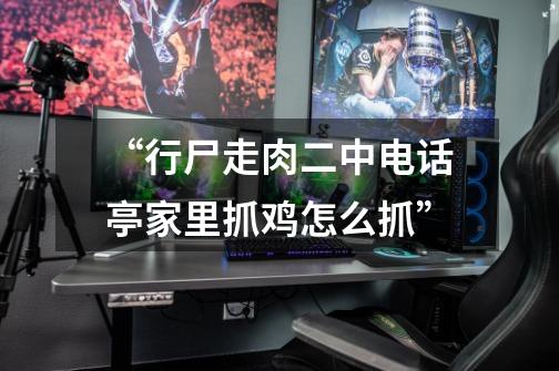 “行尸走肉二中电话亭家里抓鸡怎么抓”-第1张-游戏信息-龙启网