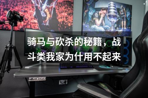 骑马与砍杀的秘籍,战斗类我家为什用不起来-第1张-游戏信息-龙启网