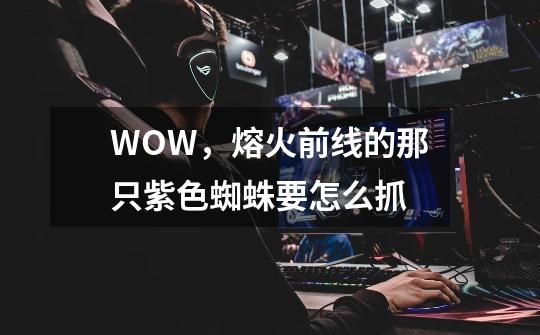 WOW,熔火前线的那只紫色蜘蛛要怎么抓-第1张-游戏信息-龙启网