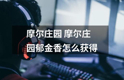 摩尔庄园 摩尔庄园郁金香怎么获得-第1张-游戏信息-龙启网