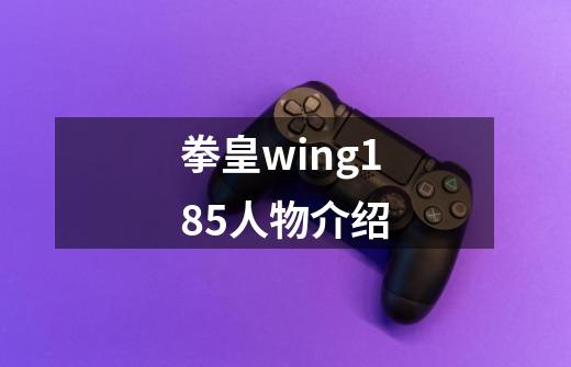 拳皇wing1.85人物介绍-第1张-游戏信息-龙启网