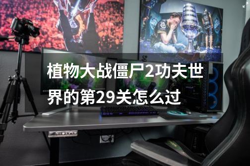 植物大战僵尸2功夫世界的第29关怎么过-第1张-游戏信息-龙启网