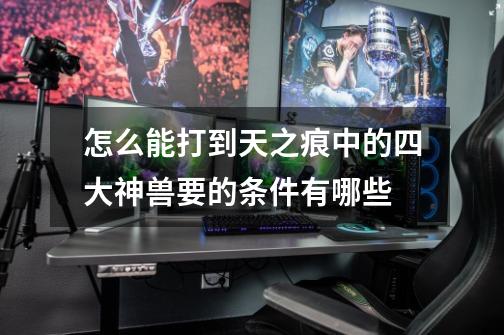怎么能打到天之痕中的四大神兽要的条件有哪些-第1张-游戏信息-龙启网