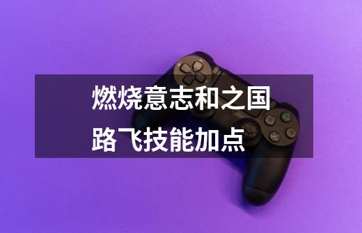 燃烧意志和之国路飞技能加点-第1张-游戏信息-龙启网