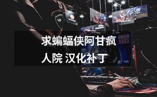 求蝙蝠侠阿甘疯人院 汉化补丁-第1张-游戏信息-龙启网