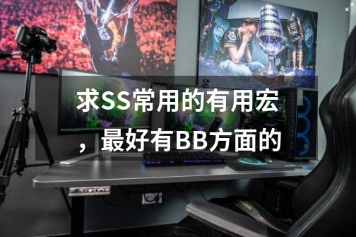 求SS常用的有用宏,最好有BB方面的-第1张-游戏信息-龙启网
