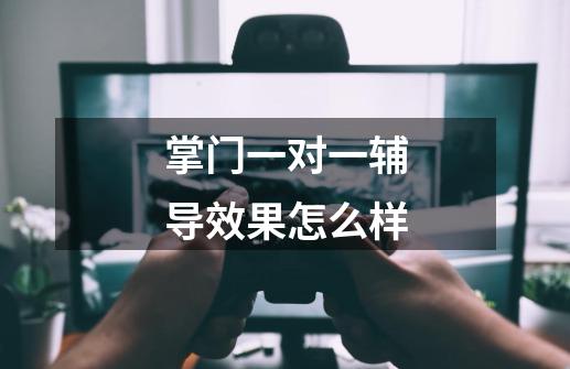 掌门一对一辅导效果怎么样-第1张-游戏信息-龙启网