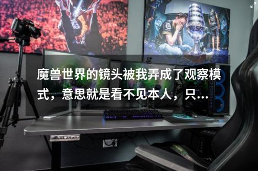 魔兽世界的镜头被我弄成了观察模式，意思就是看不见本人，只看见人的前方，就像CS。怎么才能调整回来啊。-第1张-游戏信息-龙启网