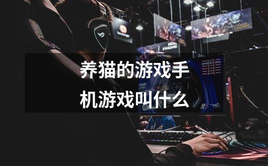 养猫的游戏手机游戏叫什么-第1张-游戏信息-龙启网