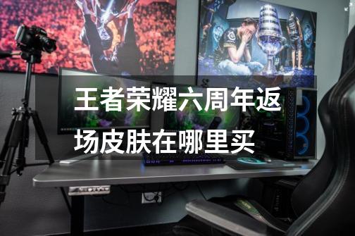 王者荣耀六周年返场皮肤在哪里买-第1张-游戏信息-龙启网