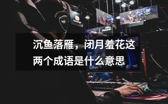 沉鱼落雁,闭月羞花这两个成语是什么意思-第1张-游戏信息-龙启网
