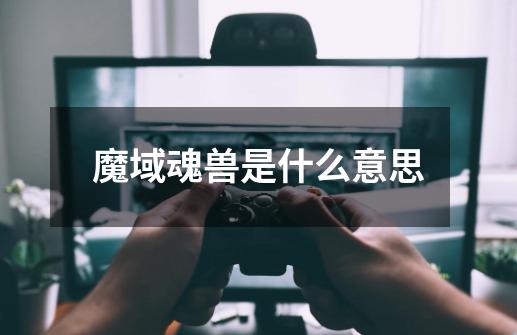 魔域魂兽是什么意思-第1张-游戏信息-龙启网