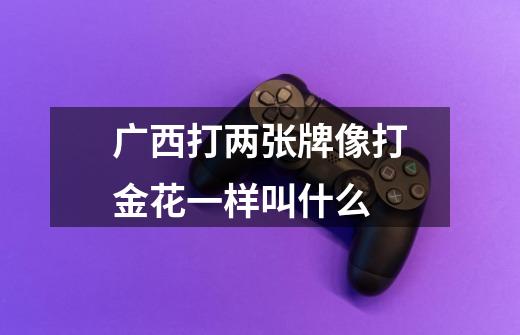 广西打两张牌像打金花一样叫什么-第1张-游戏信息-龙启网