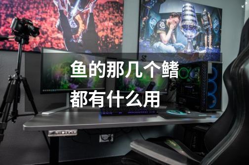 鱼的那几个鳍都有什么用-第1张-游戏信息-龙启网