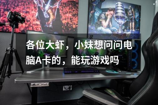 各位大虾,小妹想问问电脑A卡的,能玩游戏吗-第1张-游戏信息-龙启网