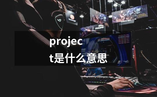 project是什么意思-第1张-游戏信息-龙启网