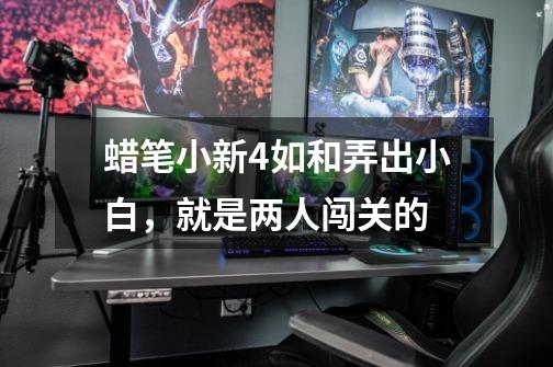 蜡笔小新4如和弄出小白,就是两人闯关的-第1张-游戏信息-龙启网
