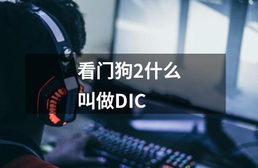 看门狗2什么叫做DIC-第1张-游戏信息-龙启网