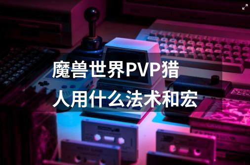 魔兽世界PVP猎人用什么法术和宏-第1张-游戏信息-龙启网