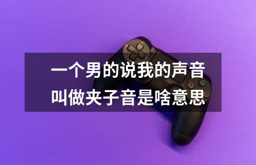 一个男的说我的声音叫做夹子音是啥意思-第1张-游戏信息-龙启网