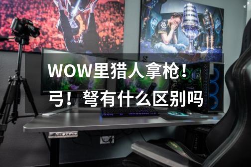 WOW里猎人拿枪!弓!弩有什么区别吗-第1张-游戏信息-龙启网
