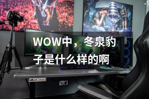 WOW中,冬泉豹子是什么样的啊-第1张-游戏信息-龙启网