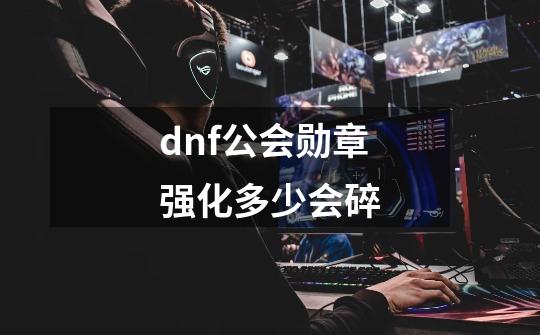 dnf公会勋章强化多少会碎-第1张-游戏信息-龙启网