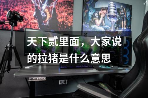 天下贰里面，大家说的拉猪是什么意思-第1张-游戏信息-龙启网