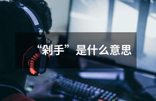 “剁手”是什么意思-第1张-游戏信息-龙启网
