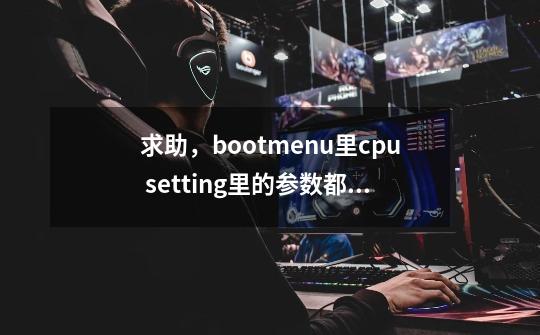 求助,bootmenu里cpu setting里的参数都是什么意思-第1张-游戏信息-龙启网