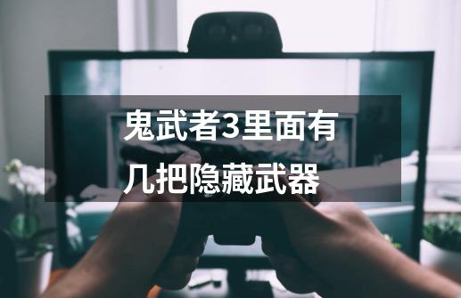 鬼武者3里面有几把隐藏武器-第1张-游戏信息-龙启网