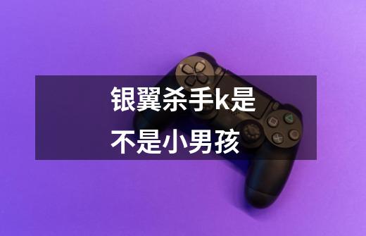 银翼杀手k是不是小男孩-第1张-游戏信息-龙启网
