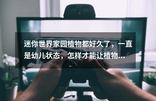 迷你世界家园植物都好久了，一直是幼儿状态，怎样才能让植物长大-第1张-游戏信息-龙启网