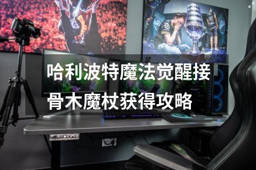 哈利波特魔法觉醒接骨木魔杖获得攻略-第1张-游戏信息-龙启网