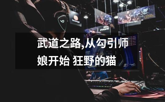 武道之路,从勾引师娘开始 狂野的猫-第1张-游戏信息-龙启网