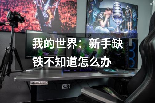 我的世界:新手缺铁不知道怎么办-第1张-游戏信息-龙启网