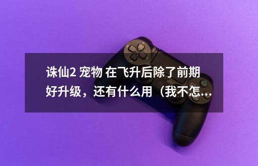 诛仙2 宠物 在飞升后除了前期好升级,还有什么用(我不怎么PK)-第1张-游戏信息-龙启网
