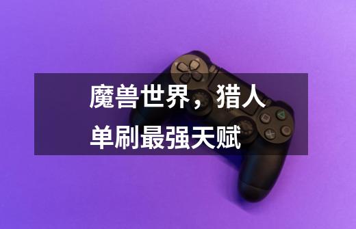 魔兽世界，猎人单刷最强天赋-第1张-游戏信息-龙启网
