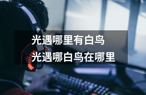 光遇哪里有白鸟 光遇哪白鸟在哪里-第1张-游戏信息-龙启网