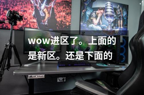wow进区了。上面的是新区。还是下面的-第1张-游戏信息-龙启网