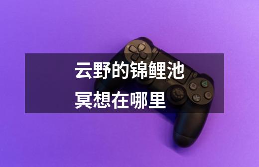 云野的锦鲤池冥想在哪里-第1张-游戏信息-龙启网