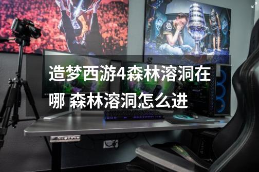 造梦西游4森林溶洞在哪 森林溶洞怎么进-第1张-游戏信息-龙启网
