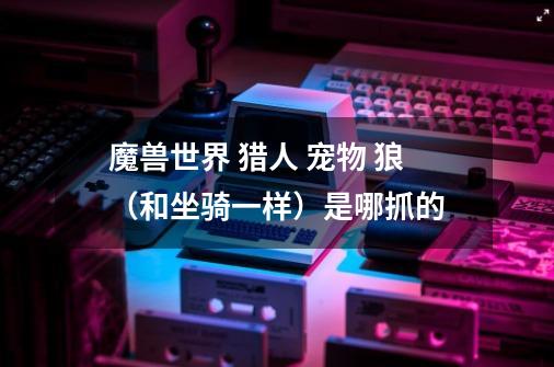 魔兽世界 猎人 宠物 狼(和坐骑一样)是哪抓的-第1张-游戏信息-龙启网