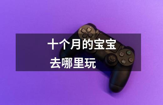 十个月的宝宝 去哪里玩-第1张-游戏信息-龙启网