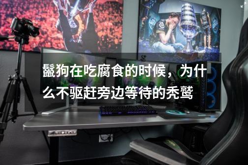 鬣狗在吃腐食的时候,为什么不驱赶旁边等待的秃鹫-第1张-游戏信息-龙启网
