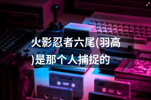 火影忍者六尾(羽高)是那个人捕捉的-第1张-游戏信息-龙启网